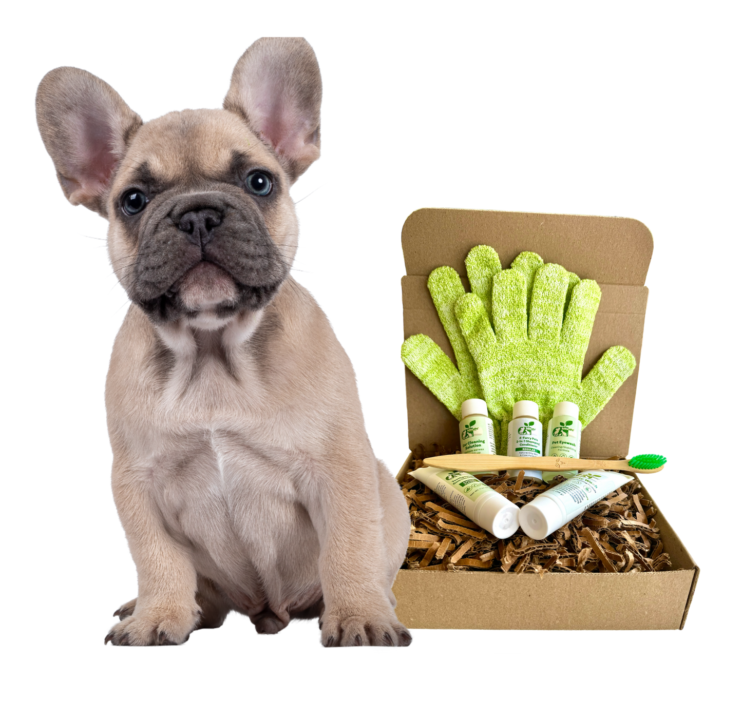 4 CHIENS À POILURE *KIT DE TOILETTAGE RÉGULIER