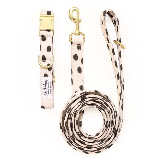 Ensemble de promenade pour chien recyclé City Chic
