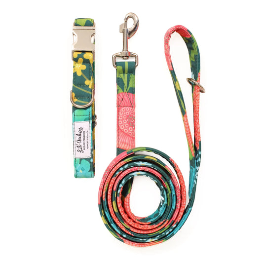 Ensemble de promenade pour chien recyclé pour jardin tropical