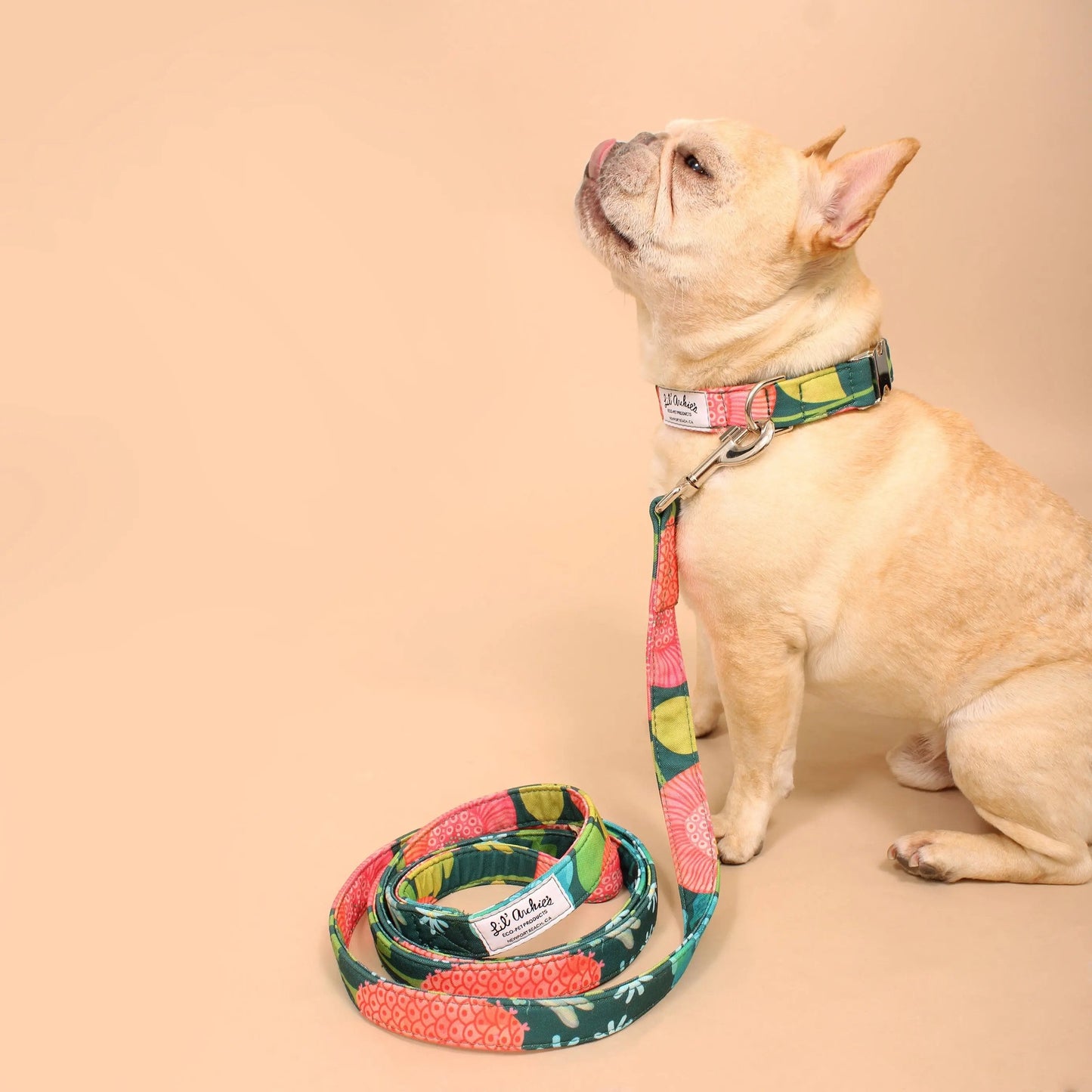 Juego de paseo para perros reciclado de jardín tropical
