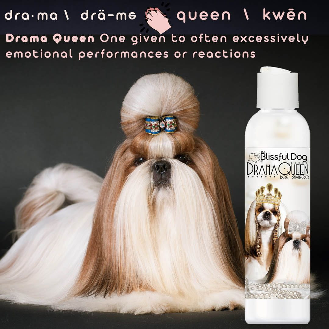 Shampoing Shih Tzu Rich Bitch &amp; Drama Queen 