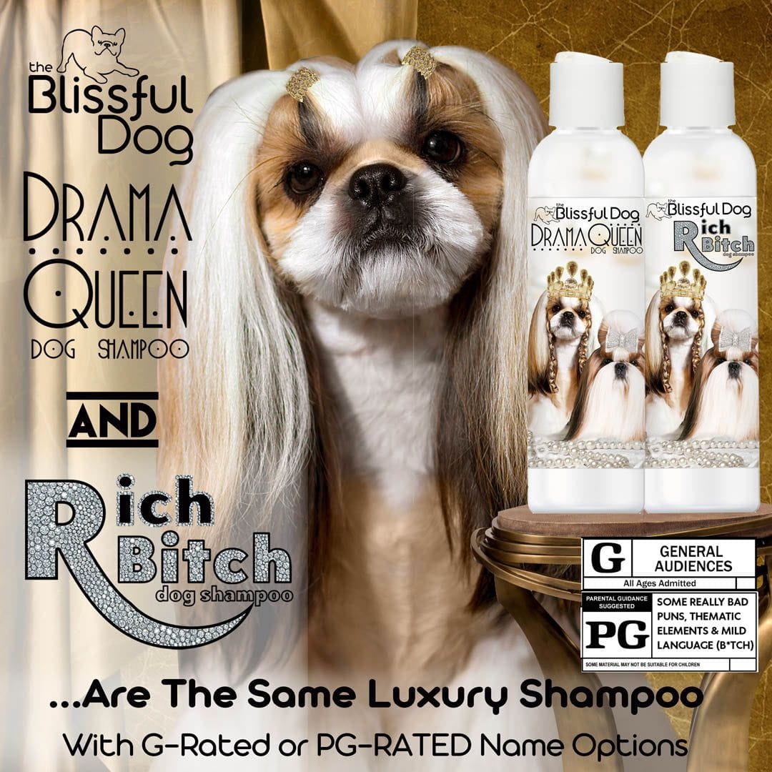 Shampoing Shih Tzu Rich Bitch &amp; Drama Queen 