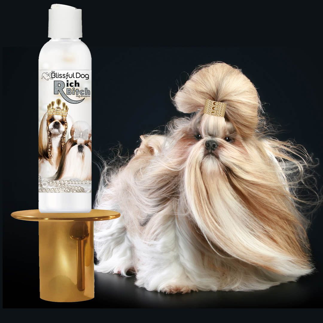 Shampoing Shih Tzu Rich Bitch &amp; Drama Queen 