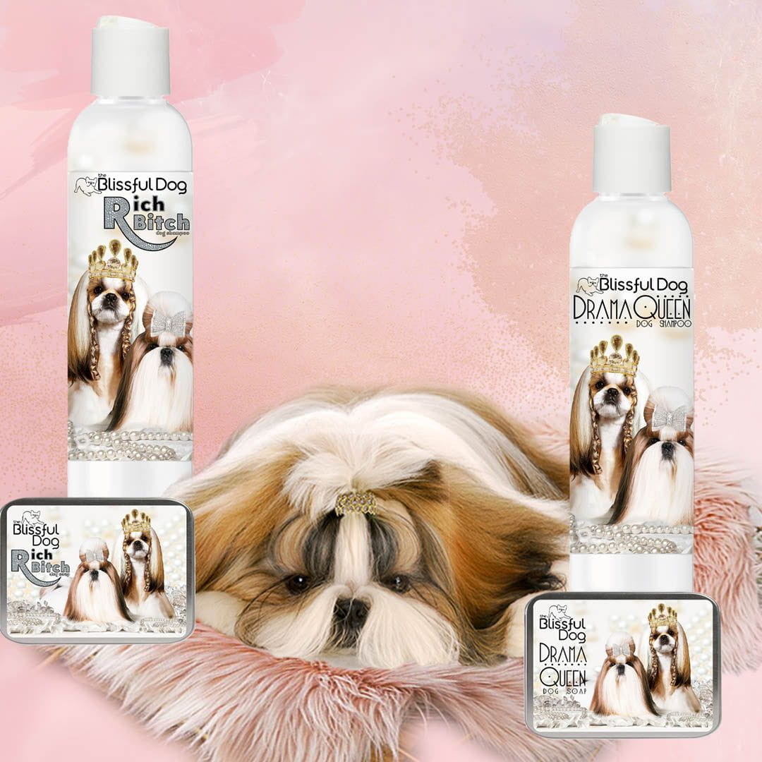 Shampoing Shih Tzu Rich Bitch &amp; Drama Queen 