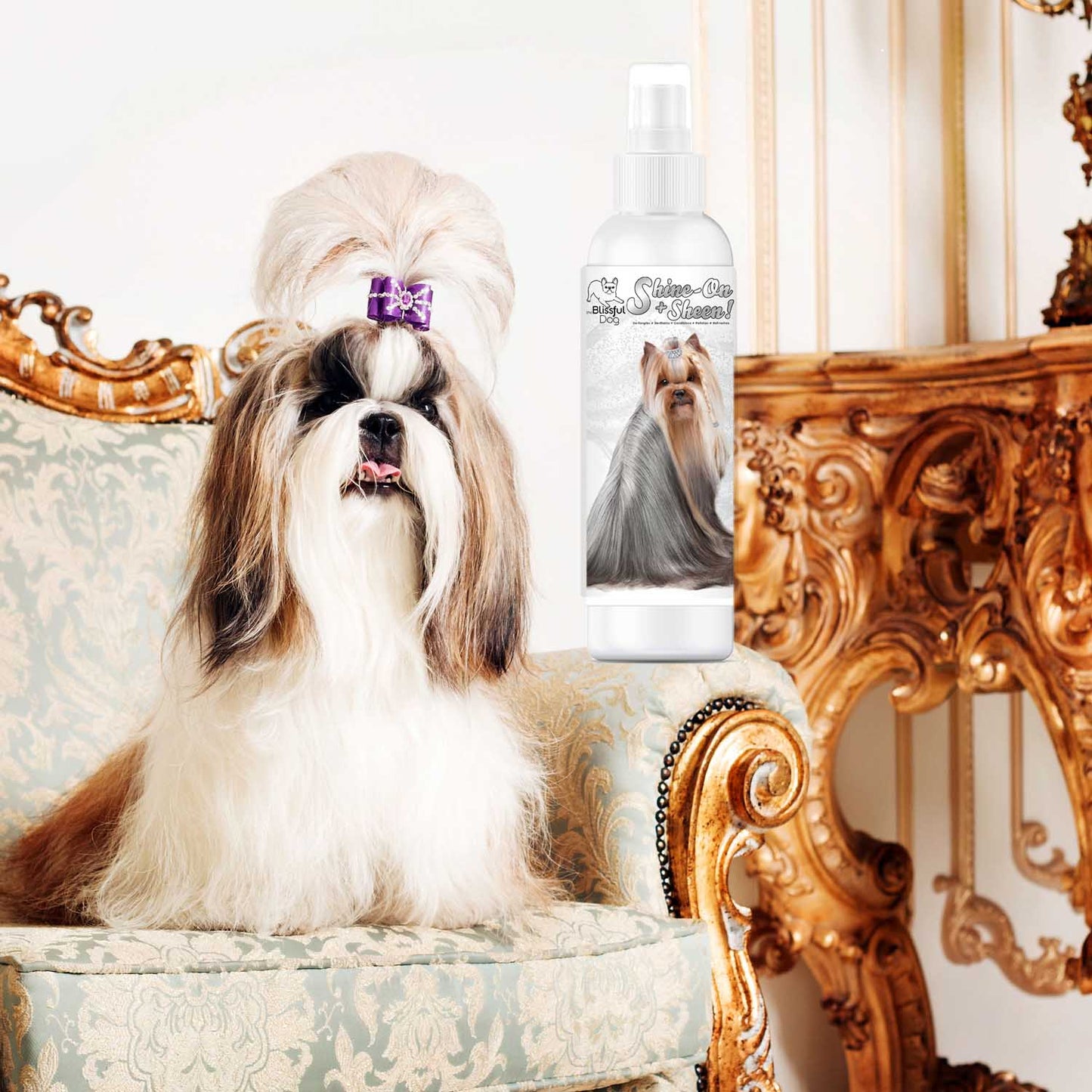 Spray desenredante para pelaje de perros Shine-On+Sheen 