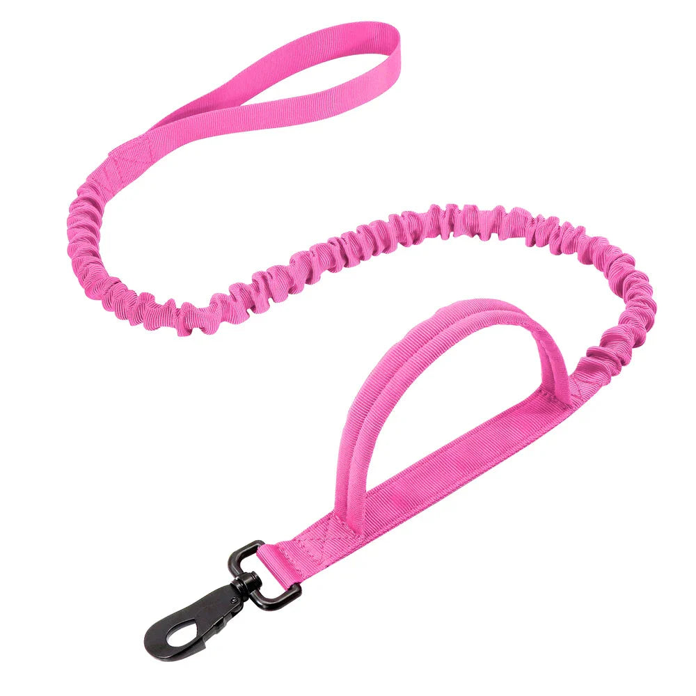Collier et laisse Tactical Luxe