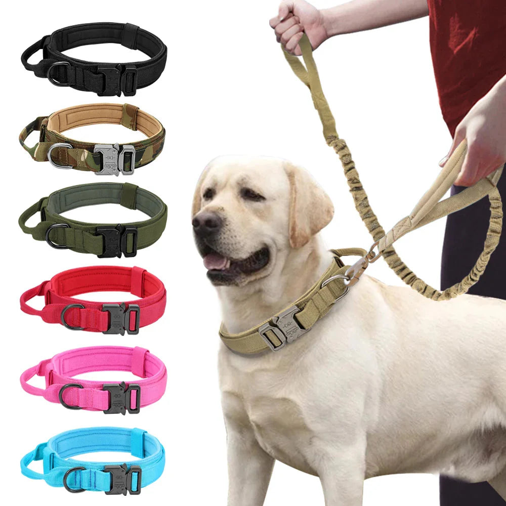 Collier et laisse Tactical Luxe