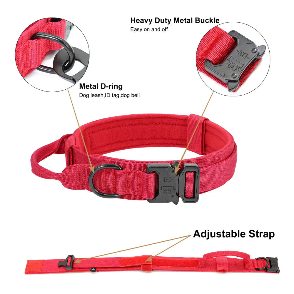 Collier et laisse Tactical Luxe