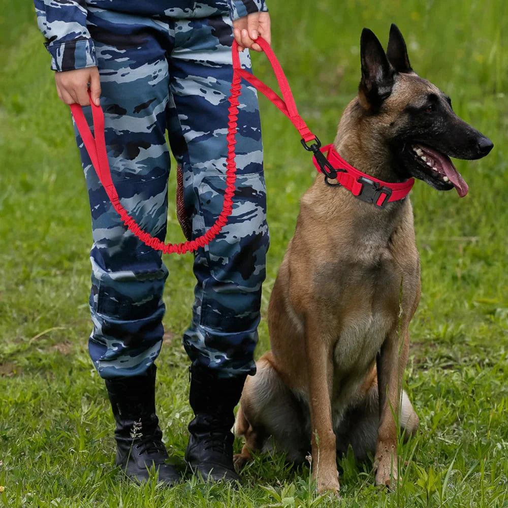 Collier et laisse Tactical Luxe
