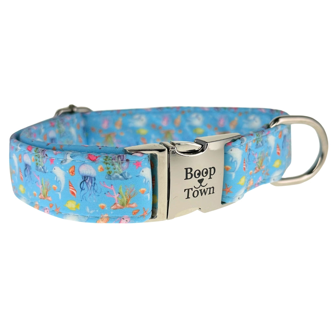 Colliers pour chiens
