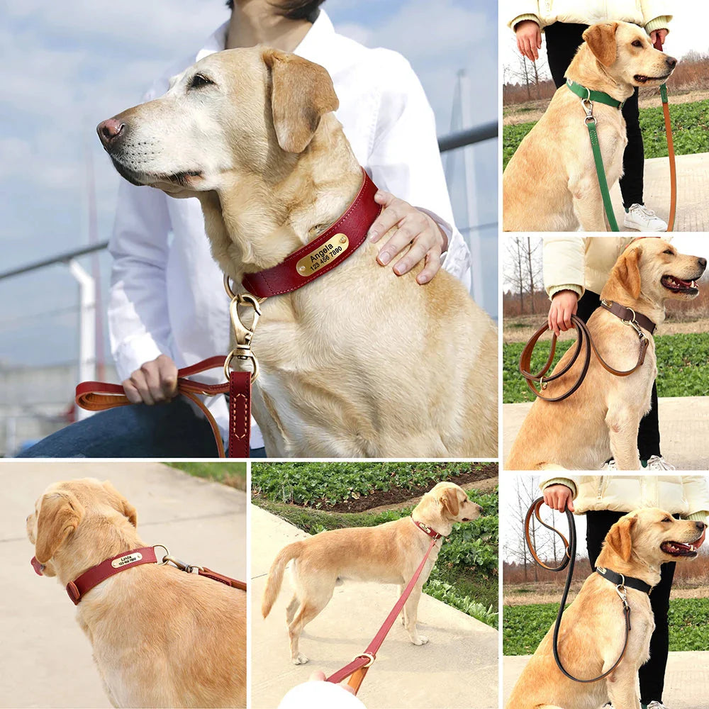 Correa de cuero clásica - Correa premium para perros