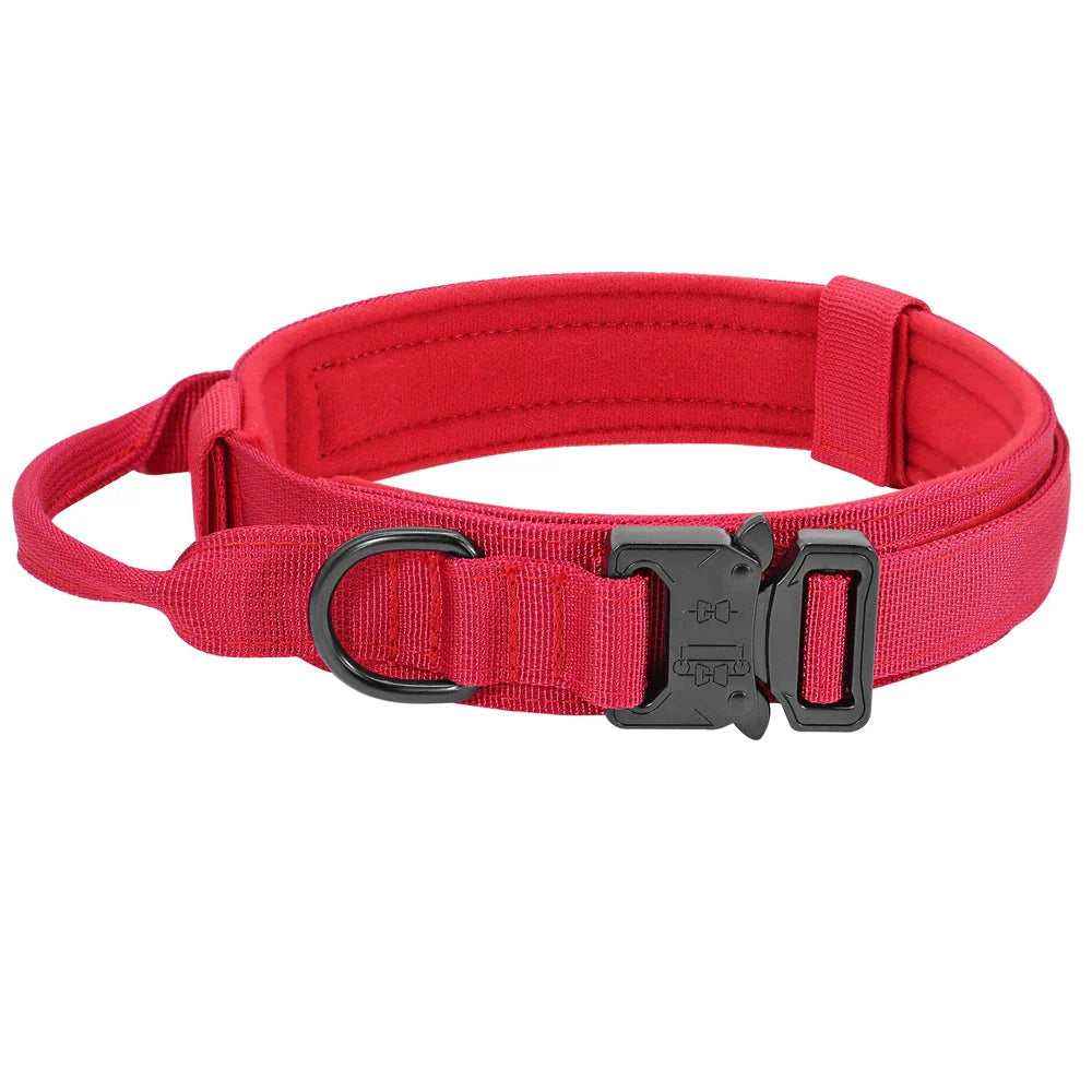Collier et laisse Tactical Luxe
