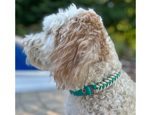 Collier pour chien tressé à la main en forme de queue de poisson, coloris turquoise et crème