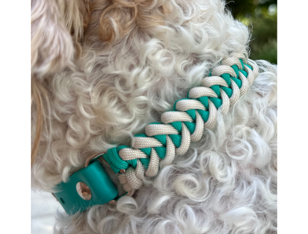 Collier pour chien tressé à la main en forme de queue de poisson, coloris turquoise et crème