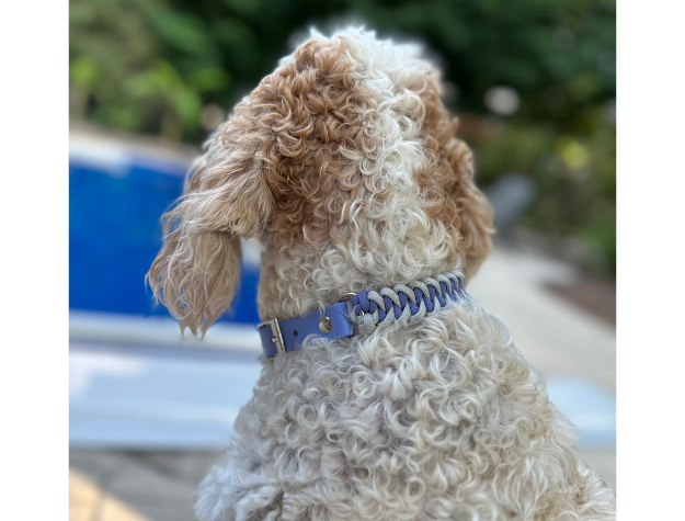 Collar para perro trenzado a mano con cola de pez en tonos lavanda y humo
