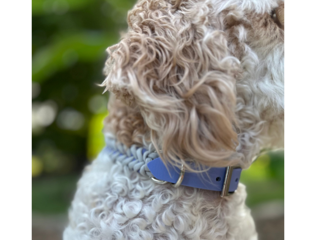 Collar para perro trenzado a mano con cola de pez en tonos lavanda y humo