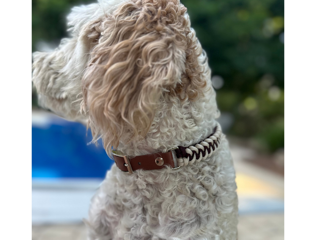 Collar para perro trenzado a mano con cola de pez en burdeos y crema
