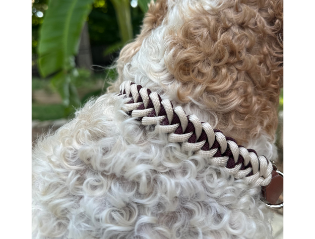 Collar para perro trenzado a mano con cola de pez en burdeos y crema