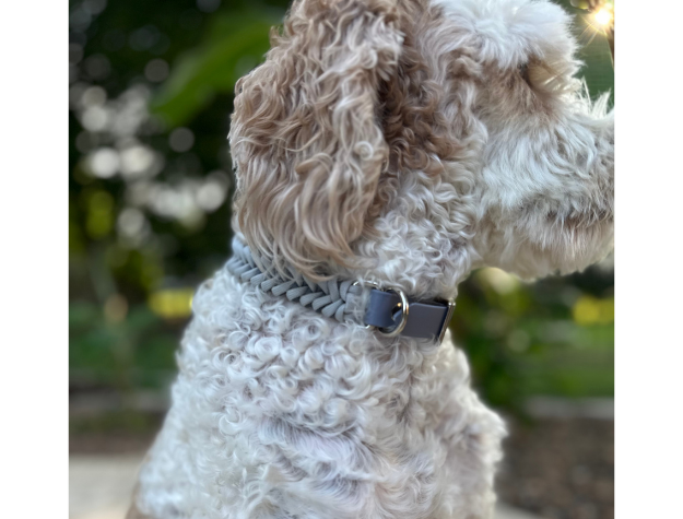 Collier pour chien tressé à la main en forme de queue de poisson, coloris graphite et fumé