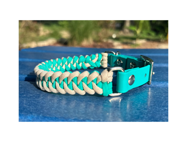 Collier pour chien tressé à la main en forme de queue de poisson, coloris turquoise et crème