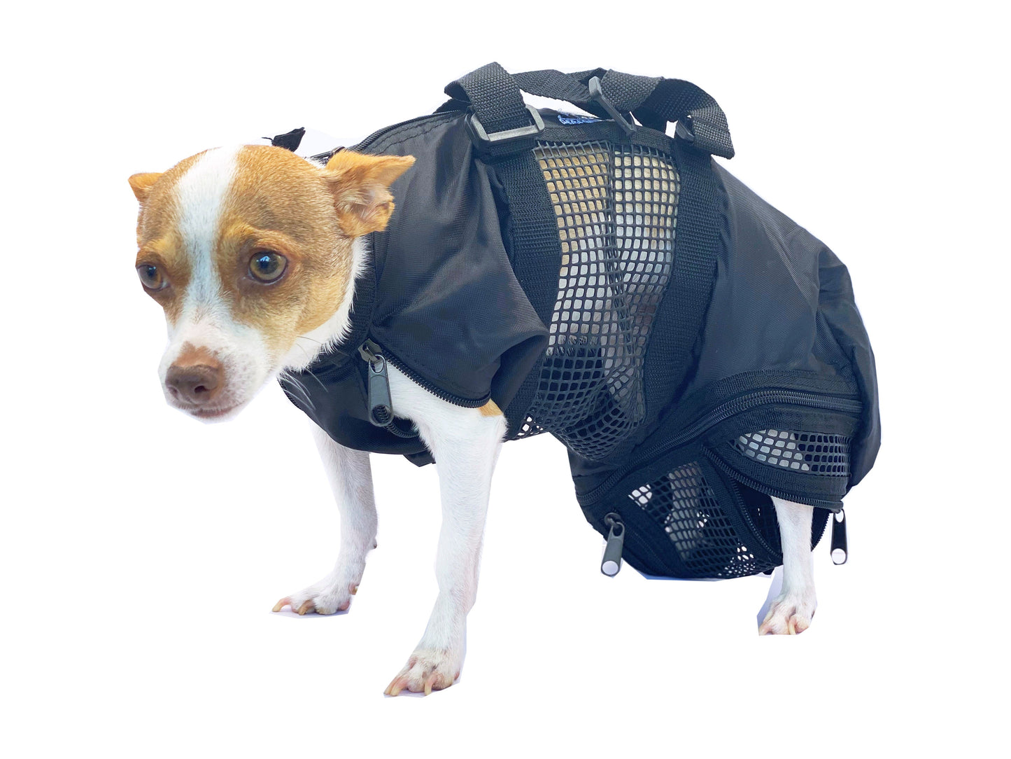 CAT/SMALL DOG GROOMING BAG