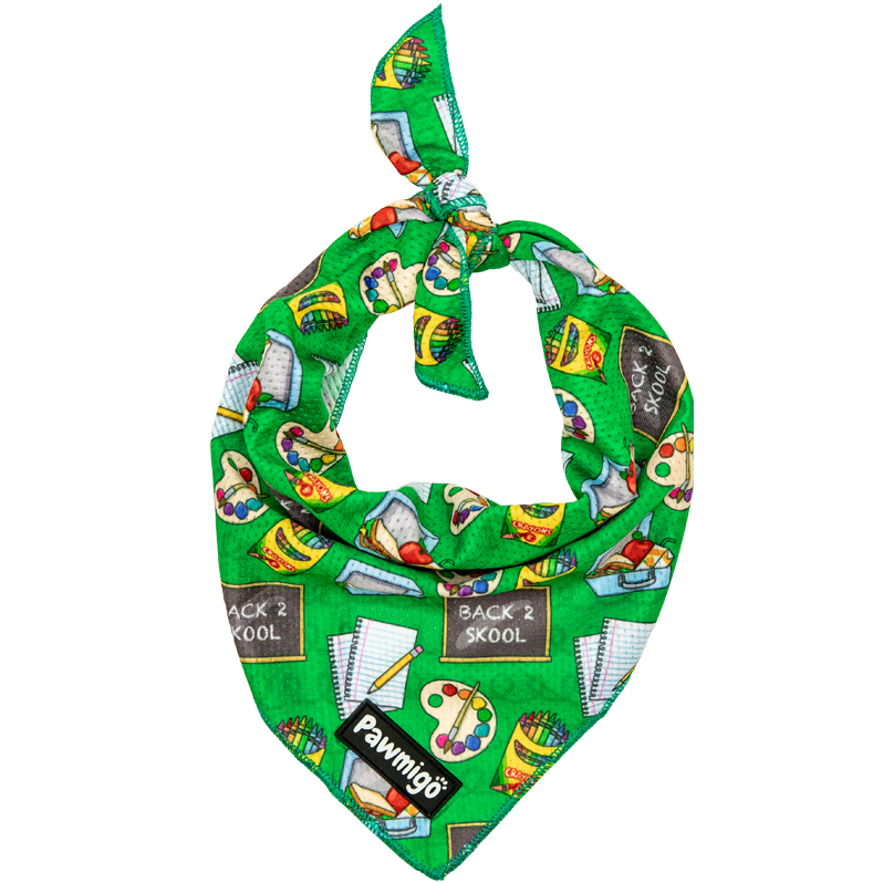 Bandana refrescante Teacher's Pet