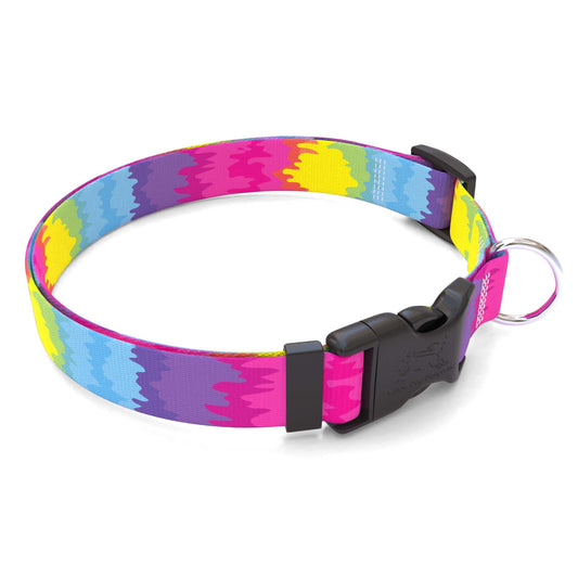 Collier pour chien personnalisé arc-en-ciel tie-dye