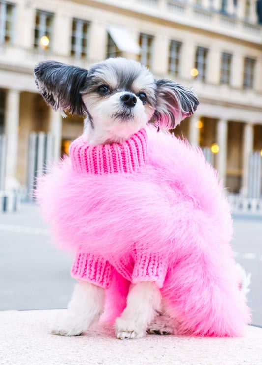 Pull de luxe pour animaux de compagnie à plumes haute couture