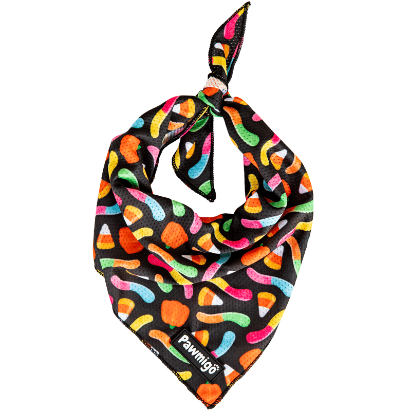 Bandana rafraîchissant Trick N Treat