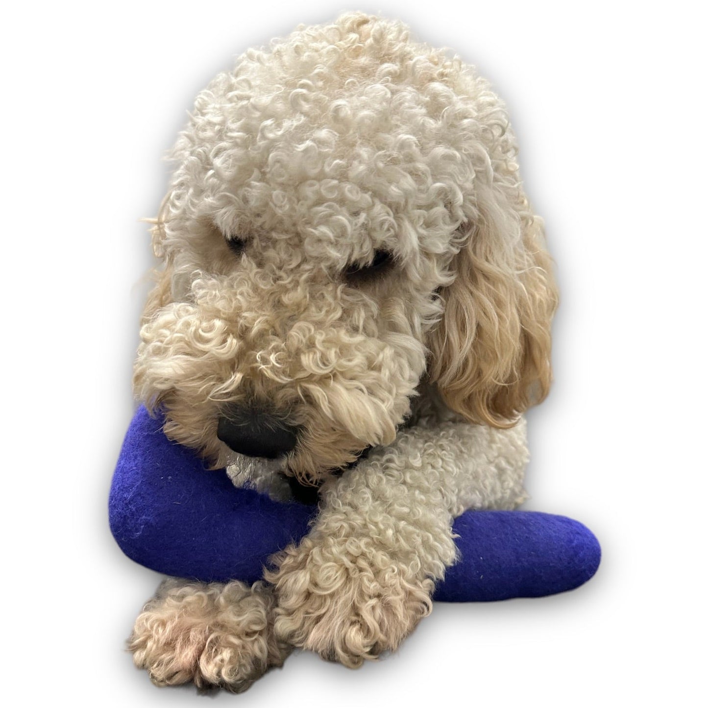 Jouet pour chien en feutre tubulaire