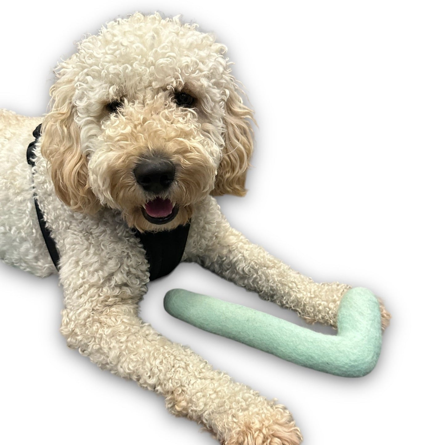 Jouet pour chien en feutre tubulaire
