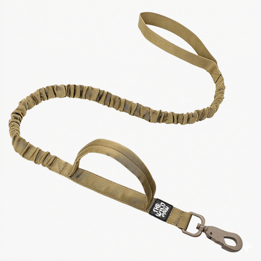 Laisse tactique Rover