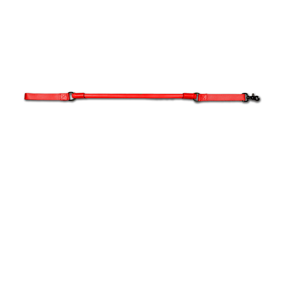 Laisse anti-traction plus courte - Urban Walk'r