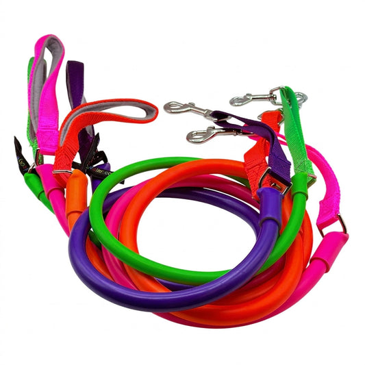 WUNDERleash de WACKYwalk'r – La laisse anti-traction originale pour chien 