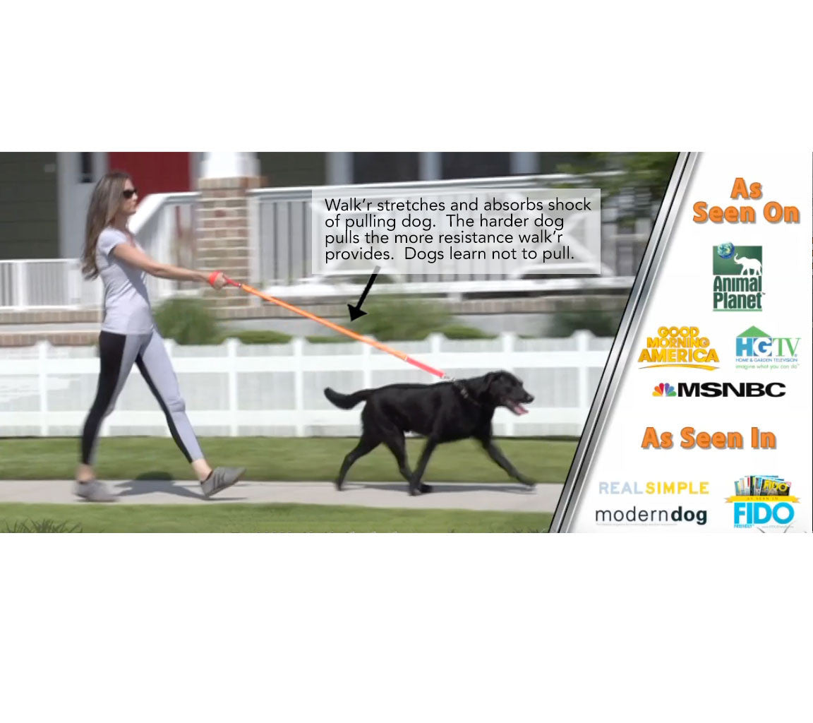 WUNDERleash de WACKYwalk'r: la correa antitirones original para perros 