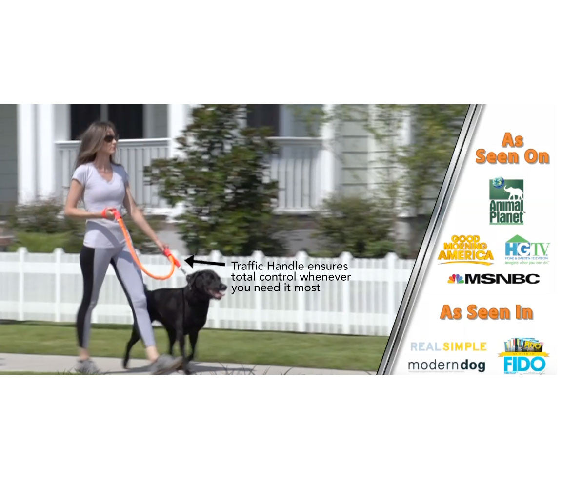 WUNDERleash de WACKYwalk'r: la correa antitirones original para perros 