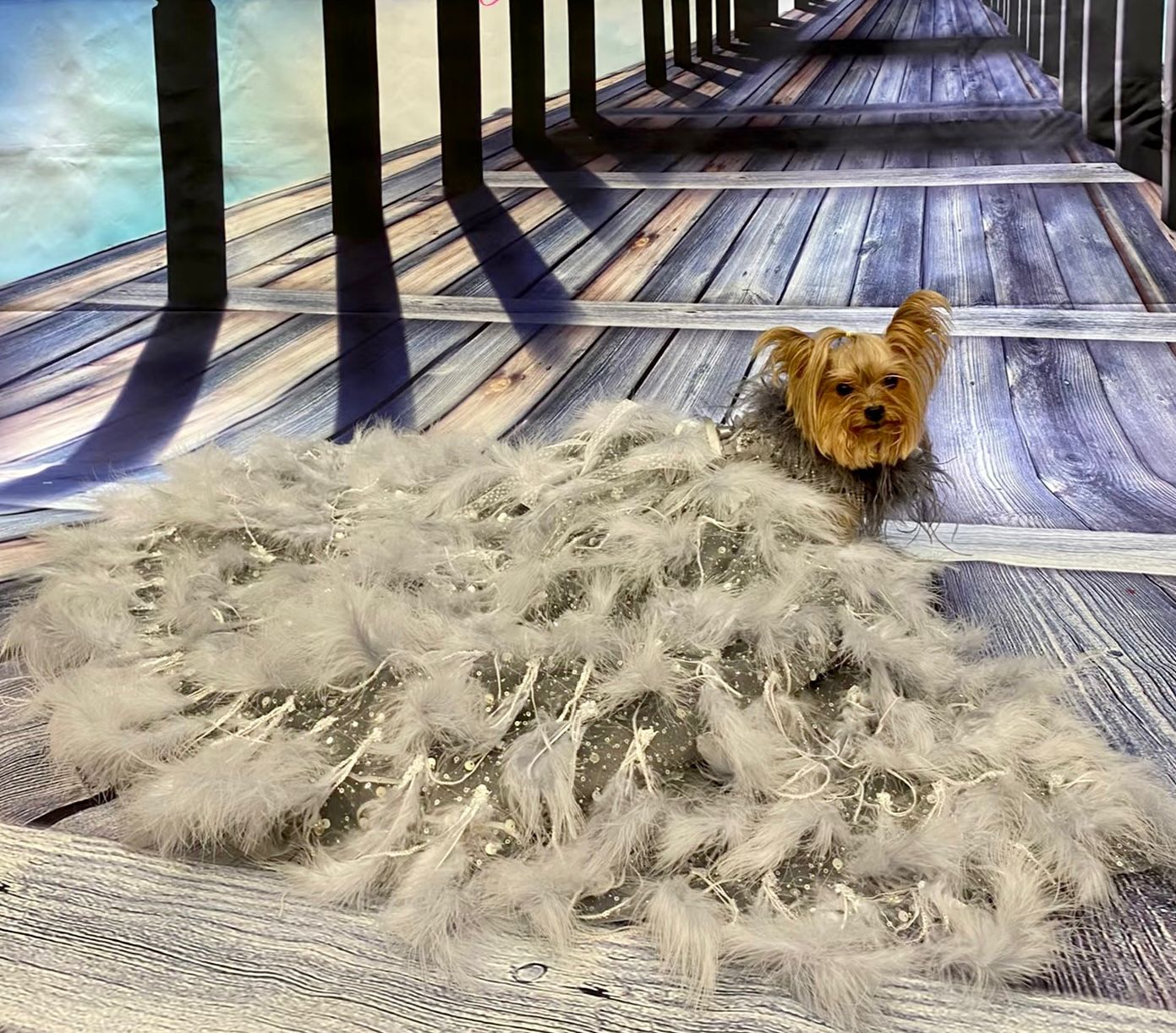 Silver Swan Feather Couture Dog Dress – Luxury Crystal Wedding Gown with Feather Train & Pearl Details