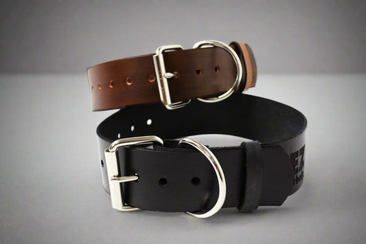 Collier pour chien en cuir