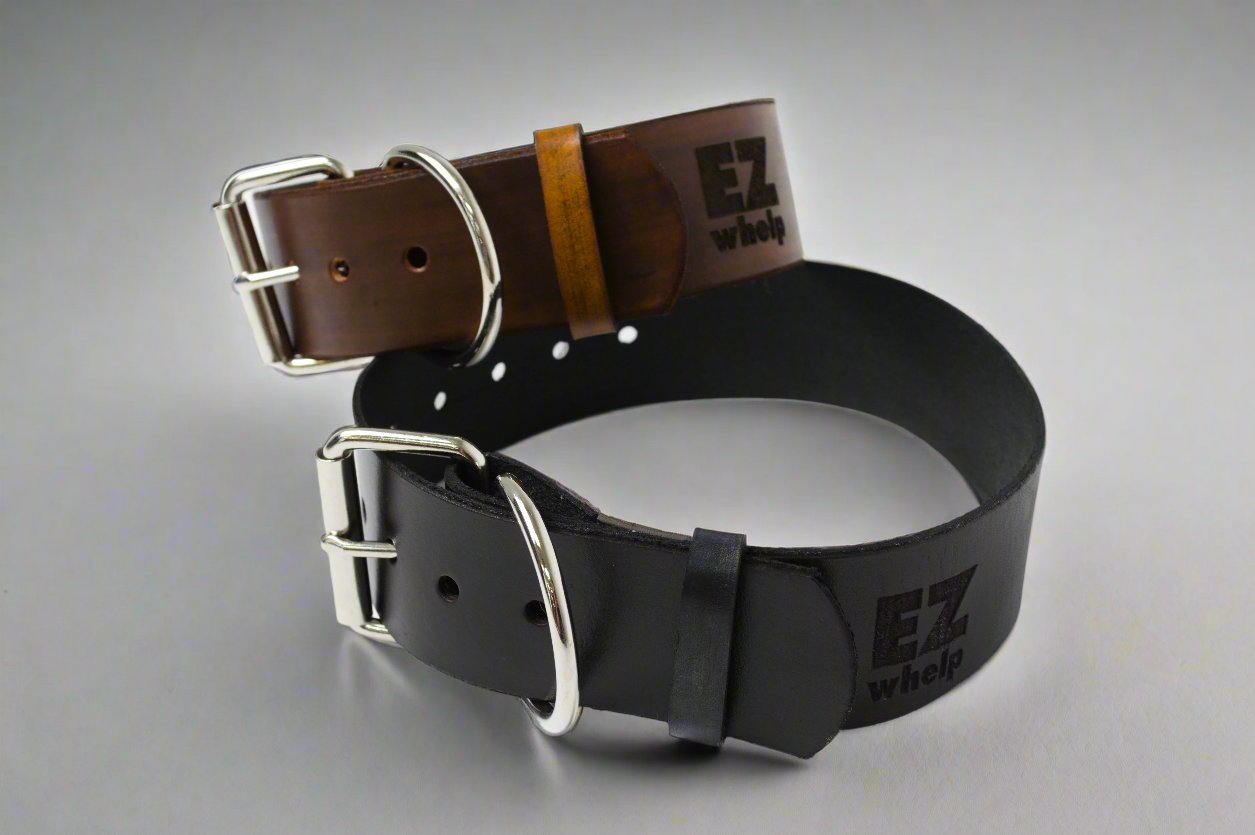 Collier pour chien en cuir
