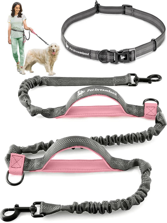 Laisse mains libres de luxe pour grands chiens