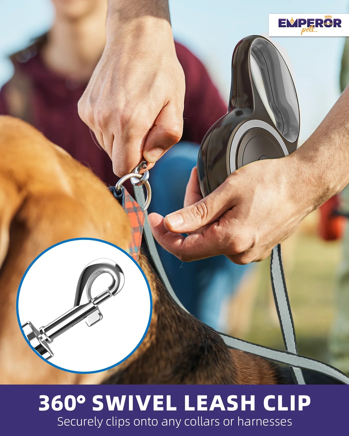 Lâchez l'aventure ! 🌟 Laisse rétractable ultra-résistante de 4,9 m pour grands chiens (jusqu'à 50 kg) 🐾