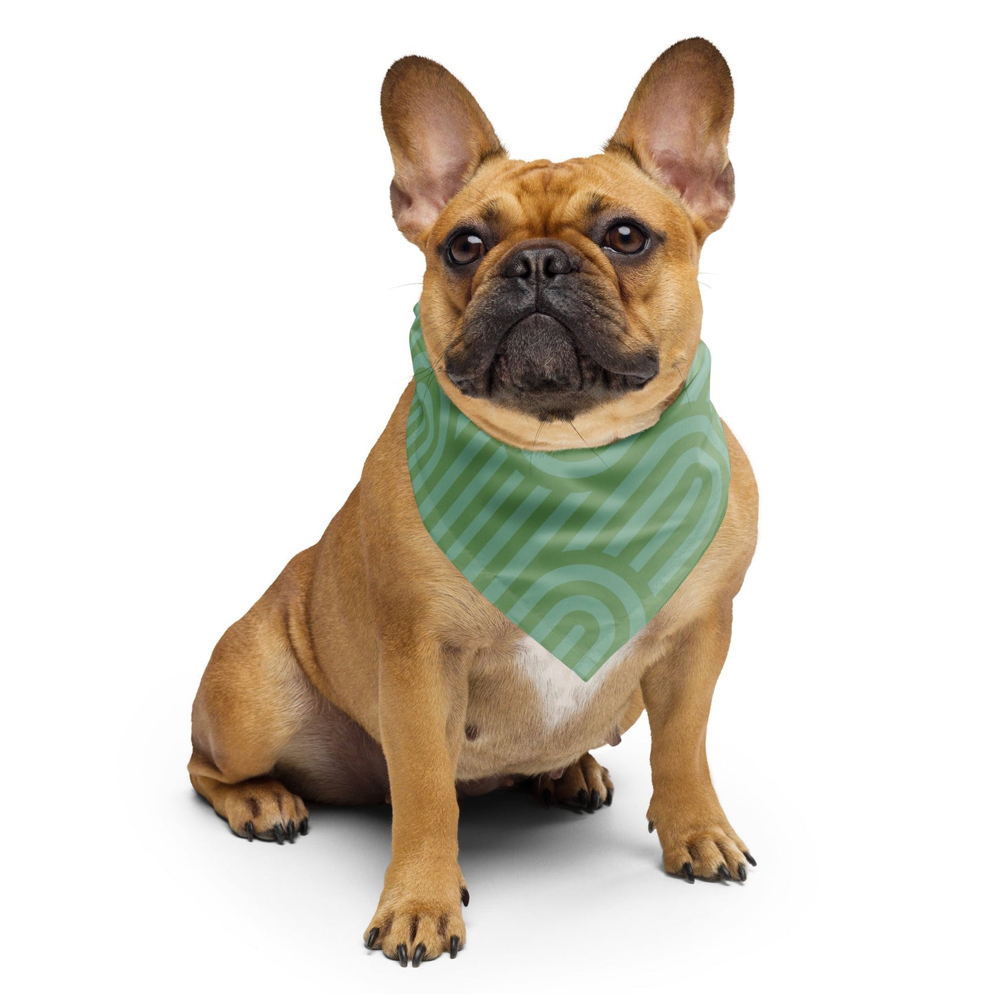 Bandana vert festonné Sebastian &amp; Clementine pour chiens et chats