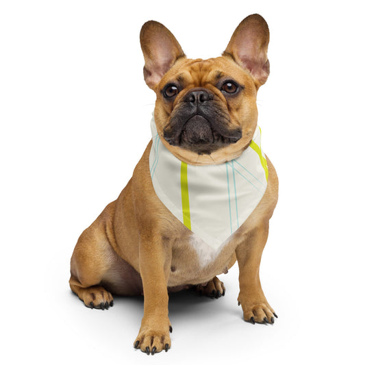 Bandana Sebastian &amp; Clementine à lignes néon pour chiens et chats