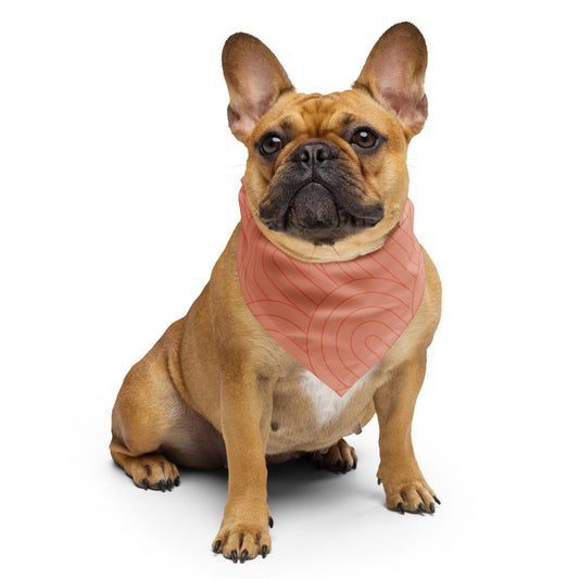 Bandana rose festonné Sebastian &amp; Clementine pour chiens et chats