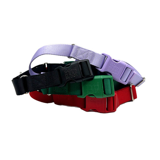 Collier martingale pour chien