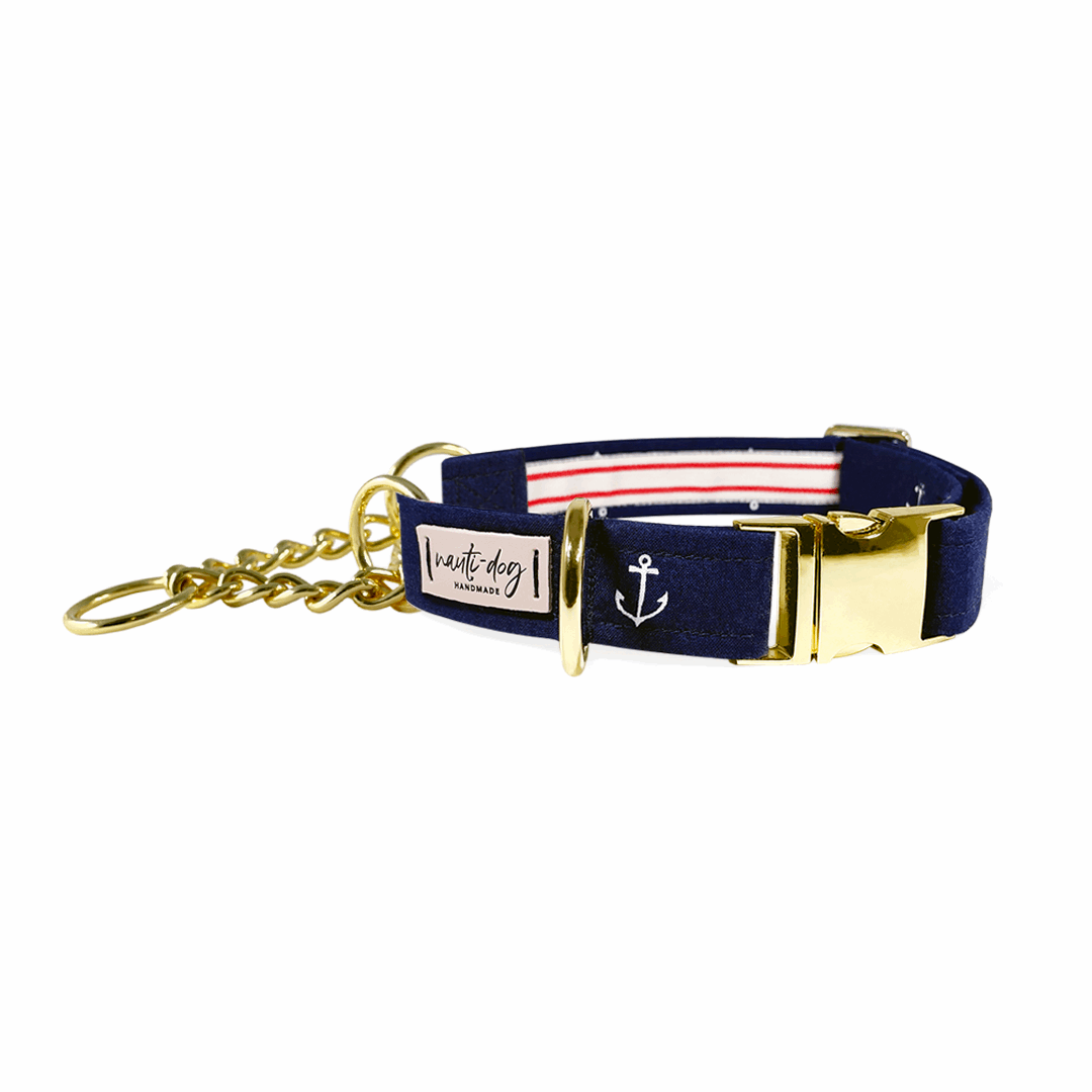 Collier pour chien Anchors Away à boucle nautique et martingale