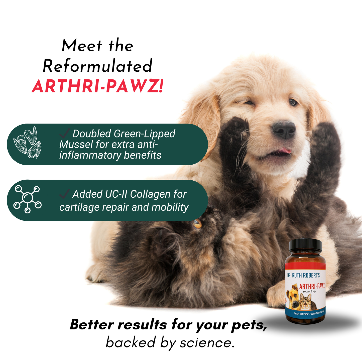 Arthri-Pawz – con glucosamina para gatos y perros 