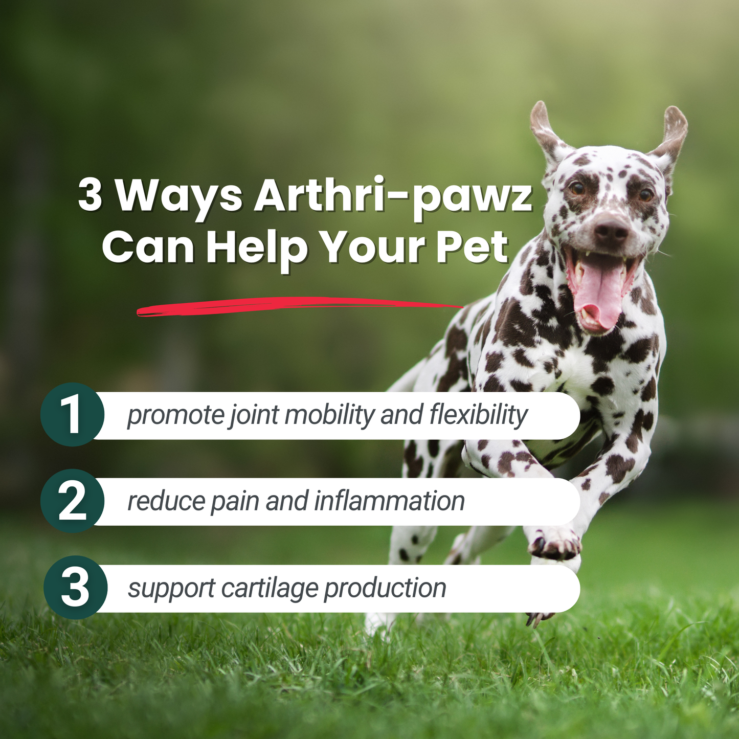 Arthri-Pawz – con glucosamina para gatos y perros 