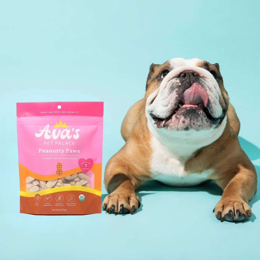 Friandises bio pour chiens cuites au four Ava's Pet Palace - Pâtes aux cacahuètes (170 g) / Lot de 2