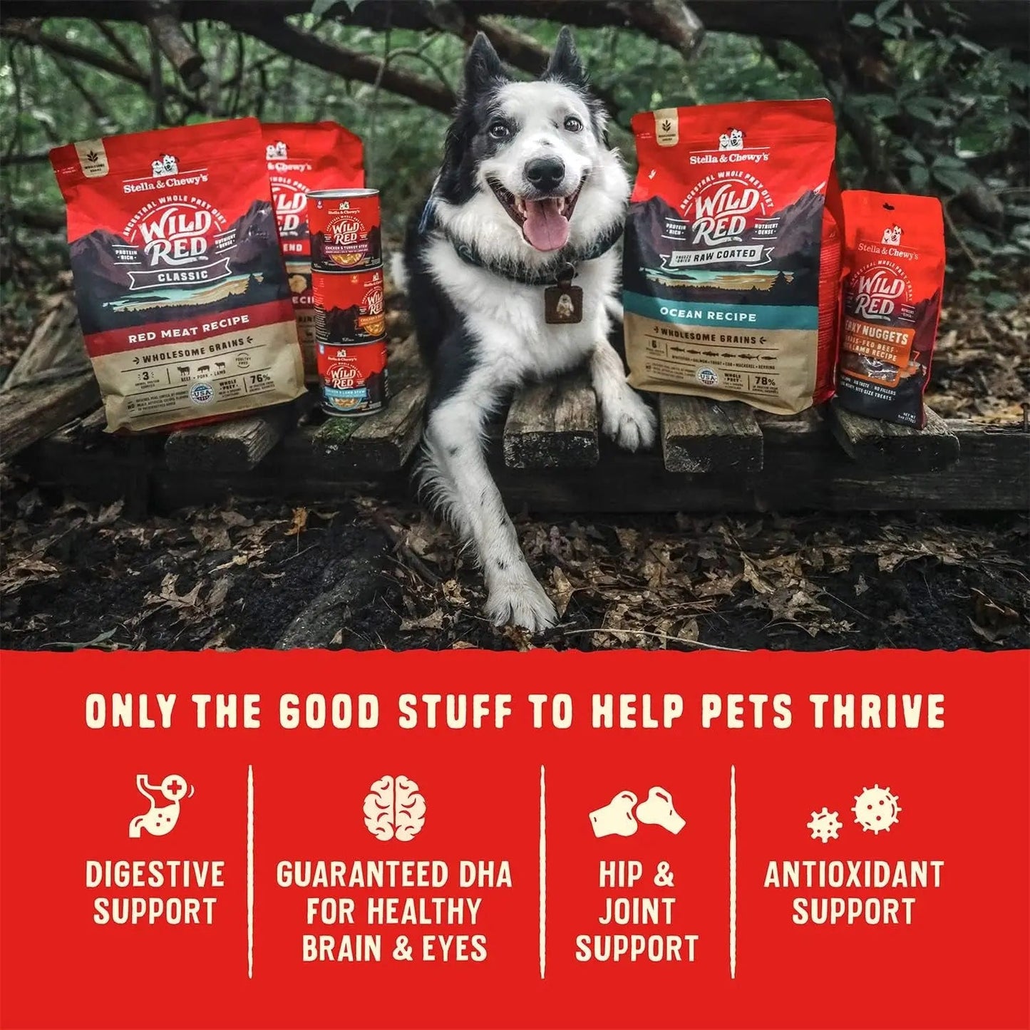 Wild Red Dry Dog Food Raw Coated High Protein Grain & Legume Free Red Meat Recipe, 1 Lb. Bag